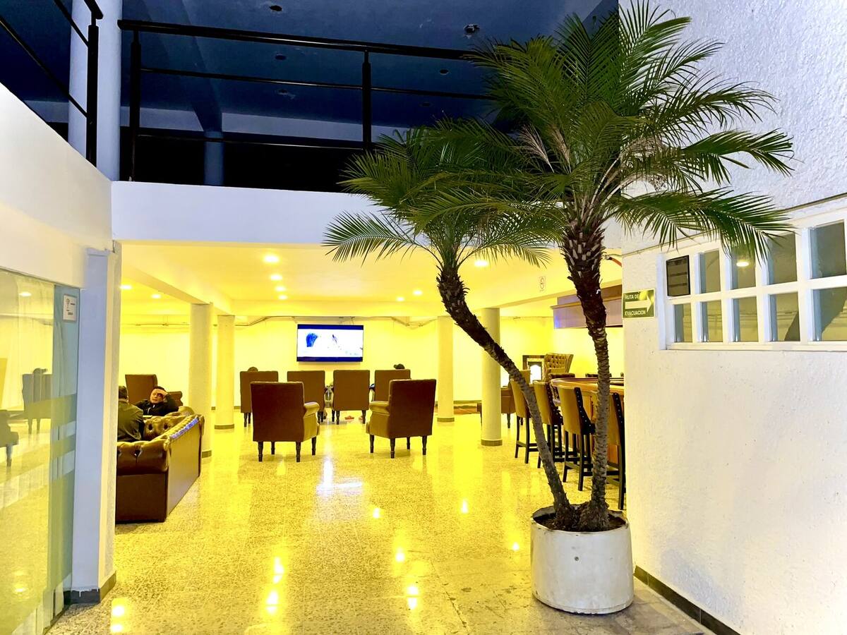 Bar y sala de estar